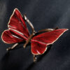 Schmetterling – Bild 6