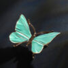 Schmetterling – Bild 5
