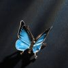 Schmetterling – Bild 8