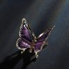 Schmetterling – Bild 4