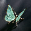 Schmetterling – Bild 5