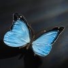 Schmetterling – Bild 8