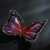 Schmetterling – Bild 7