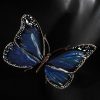 Schmetterling – Bild 3