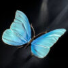 Schmetterling – Bild 7