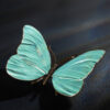 Schmetterling – Bild 5