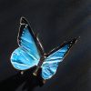 Schmetterling – Bild 8