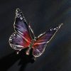 Schmetterling – Bild 7