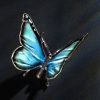 Schmetterling – Bild 5