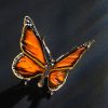 Schmetterling – Bild 2
