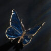 Schmetterling – Bild 9