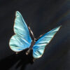 Schmetterling – Bild 7