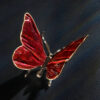 Schmetterling – Bild 6
