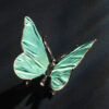 Schmetterling – Bild 5
