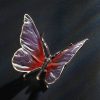 Schmetterling – Bild 3