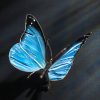 Schmetterling – Bild 8
