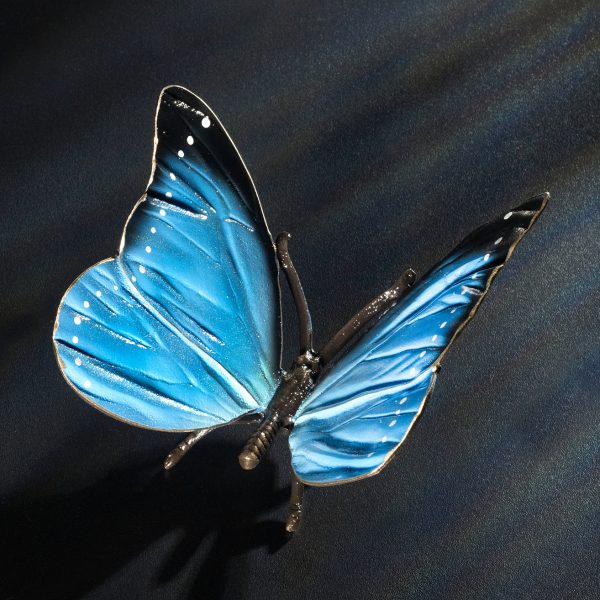 Schmetterling