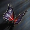 Schmetterling – Bild 7