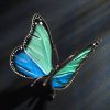 Schmetterling – Bild 6
