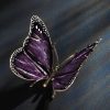 Schmetterling – Bild 4