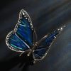 Schmetterling – Bild 3