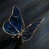 Schmetterling – Bild 9