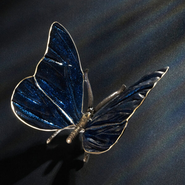 Schmetterling