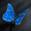 Schmetterling – Bild 8
