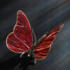 Schmetterling – Bild 6