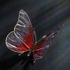 Schmetterling – Bild 3