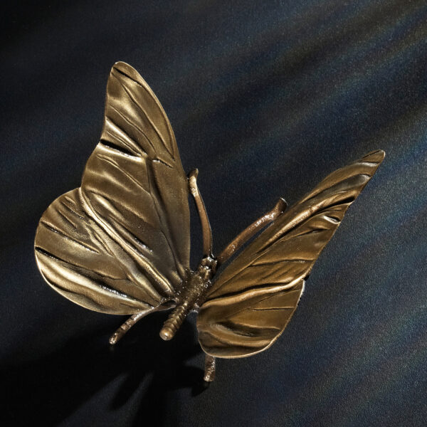 Schmetterling