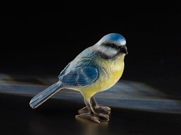 Blaumeise