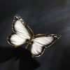 Schmetterling – Bild 10