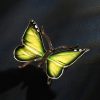 Schmetterling – Bild 10