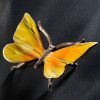 Schmetterling – Bild 10
