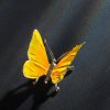 Schmetterling – Bild 10