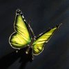 Schmetterling – Bild 9
