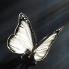 Schmetterling – Bild 10