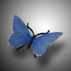 Schmetterling – Bild 11