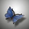 Schmetterling – Bild 11