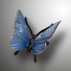 Schmetterling – Bild 11