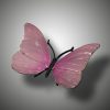 Schmetterling – Bild 12