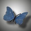 Schmetterling – Bild 11