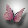 Schmetterling – Bild 11