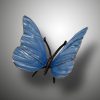 Schmetterling – Bild 12
