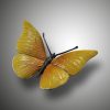 Schmetterling – Bild 4