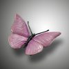 Schmetterling – Bild 3