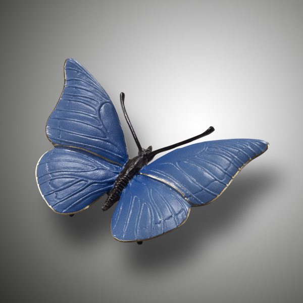Schmetterling