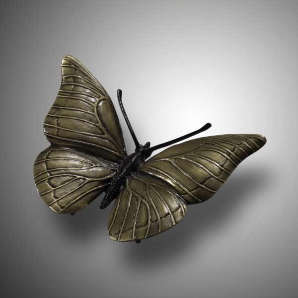 Schmetterling