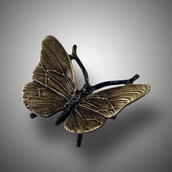 Schmetterling